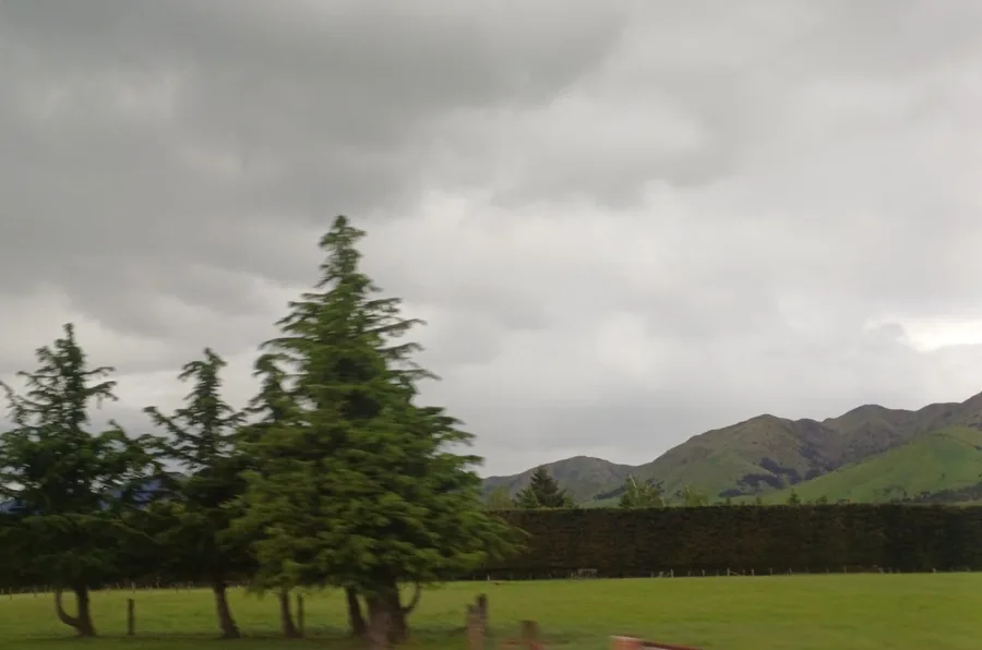 Zajímavé je, že větrolamy jsou tu vysazovány z jehličnanů a pečlivě stříhané