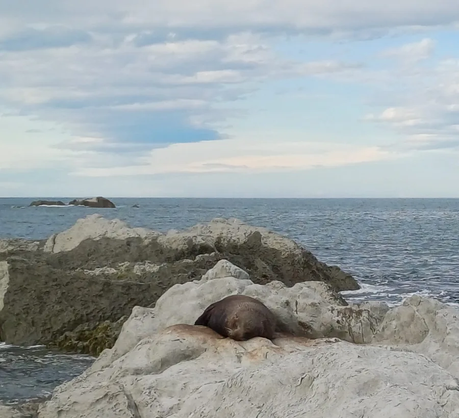A kdopak se nám to tady válí v sousedství?